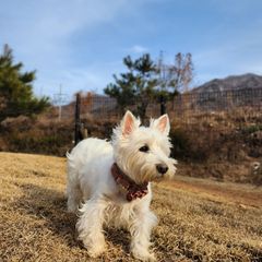 유영임 임대인의 프로필 이미지