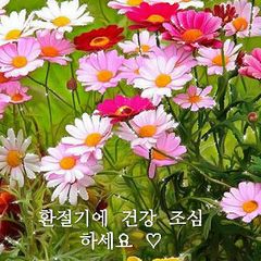 홍성아 임대인의 프로필 이미지