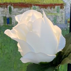 하설희 임대인의 프로필 이미지