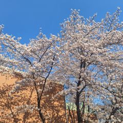 박인애 임대인의 프로필 이미지