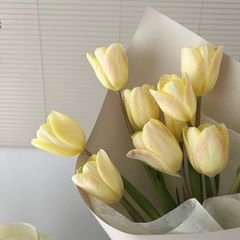peace 임대인의 프로필 이미지
