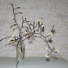 손해영 임대인의 프로필 이미지
