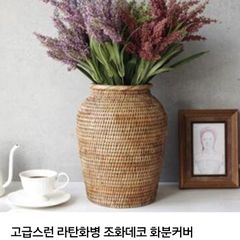 나나 임대인의 프로필 이미지