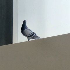 현지훈 임대인의 프로필 이미지