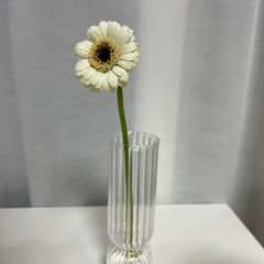 오정은 임대인의 프로필 이미지