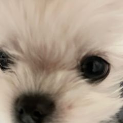 설아네 임대인의 프로필 이미지