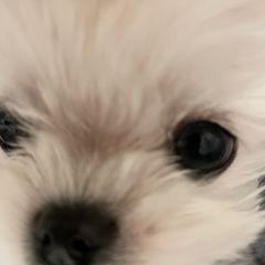 설아네 Landlord's Profile Image