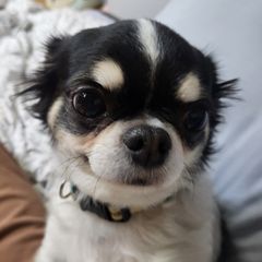 최지수 Landlord's Profile Image