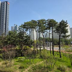 영종 초록 임대인의 프로필 이미지