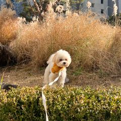 김보미 Landlord's Profile Image