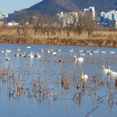 가온채 임대인의 프로필 이미지