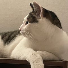이세빈 임대인의 프로필 이미지