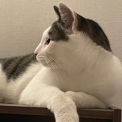 이세빈 임대인의 프로필 이미지