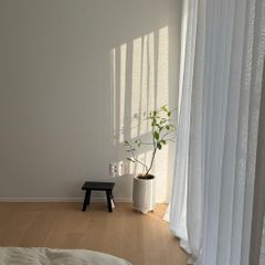심플하우스 임대인의 프로필 이미지