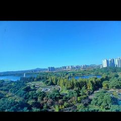 안젤라 Landlord's Profile Image