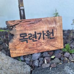 목련 임대인의 프로필 이미지