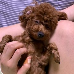 김은서 Landlord's Profile Image