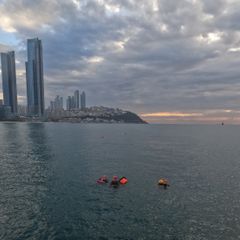 제이슨 임대인의 프로필 이미지