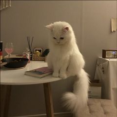 김태옥 임대인의 프로필 이미지