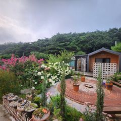 박미라 Landlord's Profile Image