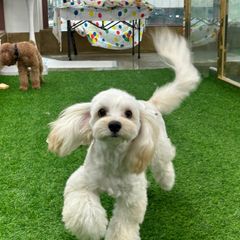 이지연 임대인의 프로필 이미지