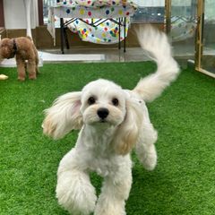 이지연 Landlord's Profile Image