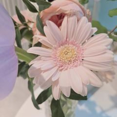김혜영 임대인의 프로필 이미지