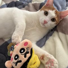 스테이 마루 Landlord's Profile Image