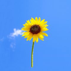 민경호 임대인의 프로필 이미지