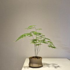 박화원 임대인의 프로필 이미지