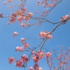 김흥대 임대인의 프로필 이미지
