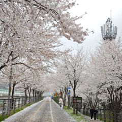 보리 임대인의 프로필 이미지