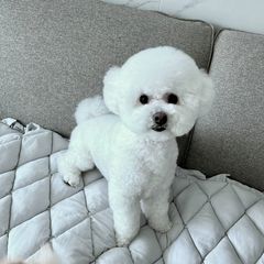 미카c 임대인의 프로필 이미지