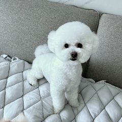 미카c Landlord's Profile Image
