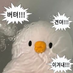 조정빈 임대인의 프로필 이미지