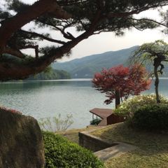 강석필 임대인의 프로필 이미지