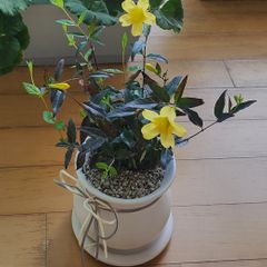 김지연 임대인의 프로필 이미지