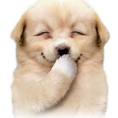서선미 Landlord's Profile Image