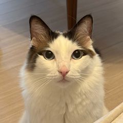 꽁지 Landlord's Profile Image