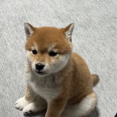 홍지운 임대인의 프로필 이미지