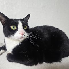 우병화 Landlord's Profile Image