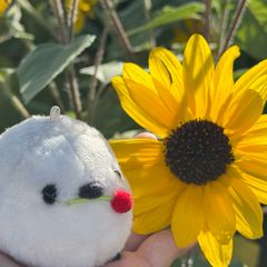 parangg 임대인의 프로필 이미지