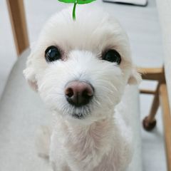 차윤석 임대인의 프로필 이미지