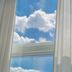 구름이 호스트의 프로필 이미지