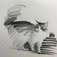 모리미 Landlord's Profile Image