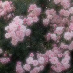 남현희 Landlord's Profile Image