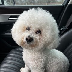 이용신 임대인의 프로필 이미지