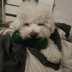 최윤석 Landlord's Profile Image