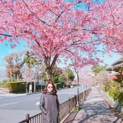 권성희 임대인의 프로필 이미지
