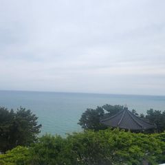 김미현 임대인의 프로필 이미지